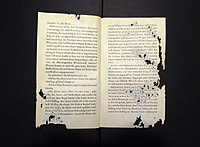 Schade van papier door zilvervisjes, in dit geval een pagina van een boek