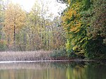 PA210029 Fernwood NP Pond Autumn 2005.JPG