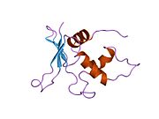 1irf: INTERFERON REGULATORY FACTOR-2 DNA BINDING DOMAIN, NMR, MINIMIZED AVERAGE STRUCTURE