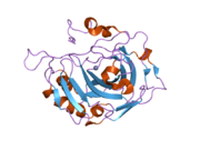 2hfx: Structural and kinetic analysis of proton shuttle residues in the active site of human carbonic anhydrase III