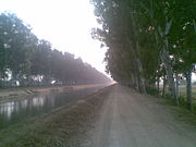 Canal of Rithal Village.