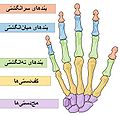 تصویر بندانگشتی از نسخهٔ مورخ ‏۲۸ نوامبر ۲۰۰۸، ساعت ۰۰:۰۵