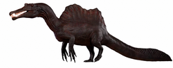 Miniatura para Spinosaurus aegyptiacus