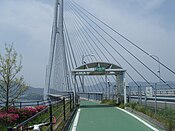 Designated cycle lane on the Tatara Bridge