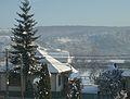 Blick vom Kirchgarten