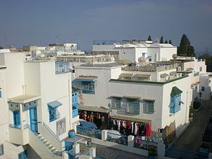 Terraces in Sidi Bou Said, Tunisia