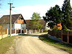 Road through Vinařice