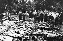 People of Vinnytsia searching through the exhumed victims of the Vinnytsia massacre, 1943 Vinnycia16.jpg
