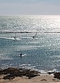 Windsurf Playa de la Calita