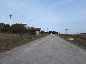 Дорога до села Бартошівка