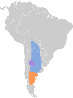 Distribución geográfica del gaucho chico.