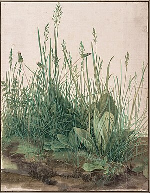 Das große Rasenstück (Albrecht Dürer)