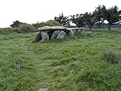 Allée couverte Ty-Lia auf der Île-Grande