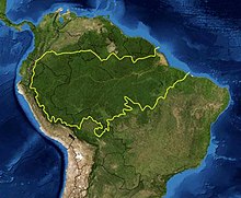 A map of the Amazon rainforest ecoregions. The yellow line encloses the ecoregions per the World Wide Fund for Nature. Amazon rainforest.jpg