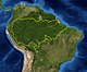 Amazonas regnskog