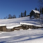 Alpe Ammenegg in Dornbirn (Dornbirn)