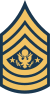Sergeant Major of the Army