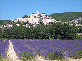 Lavanda com Banon ao fundo