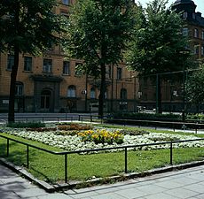 Plantering framför Ahlströmska Skolan, 1963.