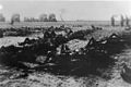 Buchenwald 16 avril 1945