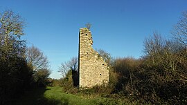 Ruins of the Château de Lorieux