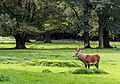 Vorschaubild der Version vom 12:18, 3. Aug. 2018