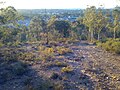 Queanbeyan East, New South Wales - East Queanbeyan as viewed from just outside the city's edge