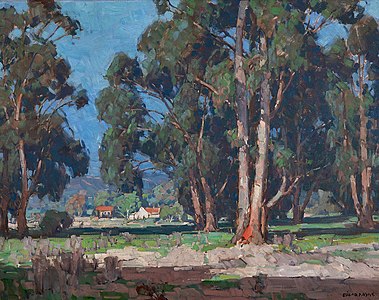 Eucalyptus Landscape, Californie.