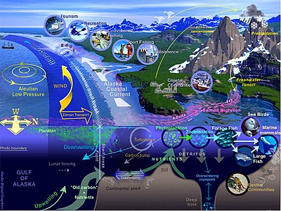 General characteristics of a large marine ecosystem (Gulf of Alaska) General characteristics of a large marine ecosystem.jpg