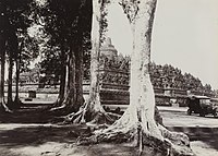 Borobudur, vpravo automobil