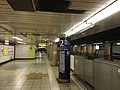 Marunouchi Line platforms, 2019