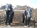 Masonry elephants