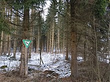 Eine Fichtenschonung mit einer Lichtung etwa in Bildmitte, in der die Doline liegt. Der Boden ist überwiegend leicht mit Schnee bedeckt. Im Vordergrund ein dreieckiges Schild mit grünem Rand, der Aufschrift Naturdenkmal und der Darstellung eines Raubvogels.