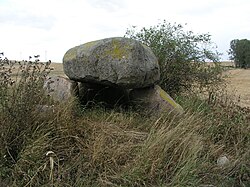 Großsteingrab Neuenfeld 1