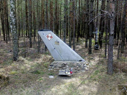 Ogon samolotu w lesie w Dołdze