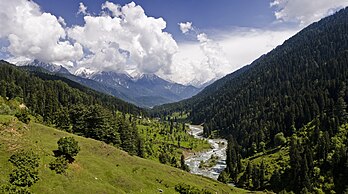 Vista do vale do Lidder perto de Pahalgam. Este vale do Himalaia fica na parte nordeste do vale de Caxemira em Jammu e Caxemira, na Índia. É um subvale do Himalaia que forma o canto sudeste do distrito de Anantnag na Caxemira, administrada pela Índia. O rio Lidder desce o vale. A entrada do vale fica a 7 km a nordeste da cidade de Anantnag e 62 km a sudeste de Serinagar, a capital de verão de Jammu e Caxemira. É um vale de desfiladeiro de 40 km de comprimento com uma largura média de 3 km. (definição 6 745 × 3 762)