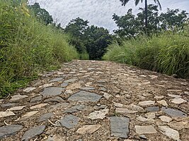 Pavements de Wiyamdè (Maison Yoma)