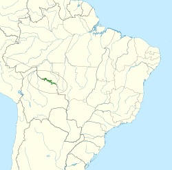 Distribución geográfica del carpinterito cuellirrufo.