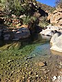 Pool in Paradise Valley