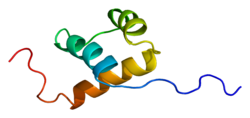 Protein ISL1 PDB 1bw5.png