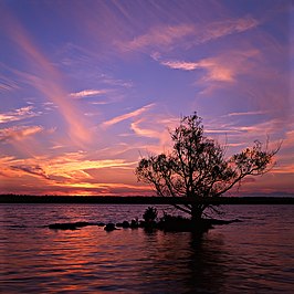 Zonsondergang boven een van de kleinste eilanden van de Thousand Islands.