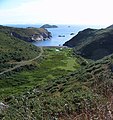 Clifftop walk Solva