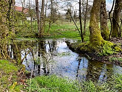 Quellteich Bergisch Born Oberstraße