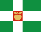 Флаг волости Тюри