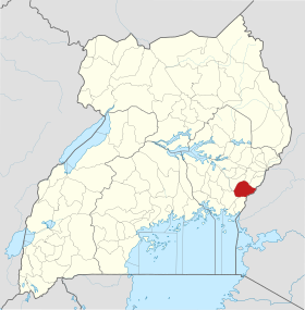 Tororo (district)