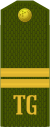 Turkmenistan army OR-5.svg