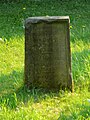 Grabmal (Grabplatte Fam. Ferdinand Diebschlag)