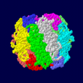 RuBisCO از اکتامرهای هترودیمر زیر سیستم‌های بزرگ و کوچک تشکیل شده‌است (برای هر زیر سیستم کدگذاری رنگی شده‌است