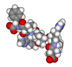 Angiotensin II