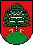 Mainburg címere